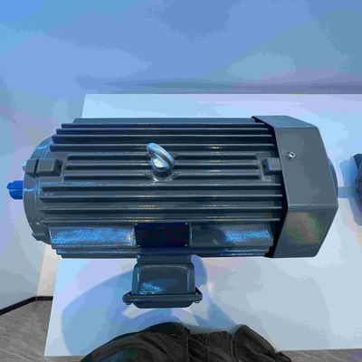 Three Phase Permanent Magnet Synchronous Motors Cast Iron Aluminum Stainless Steel