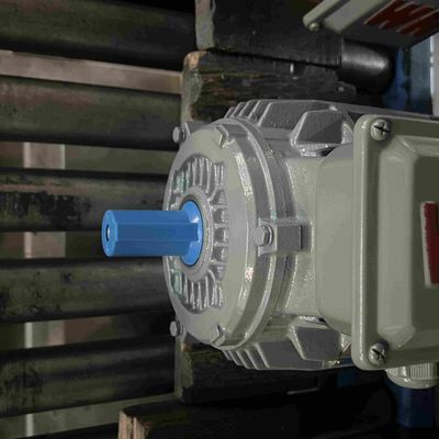 110V Water Resistant Single Phase Electric Motors With CE Certificate