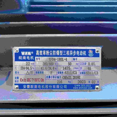 6KV IE3 Three Phase High Efficiency Electric Motor For Transport Machinery