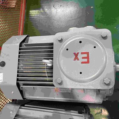Dust Proof IP65 Grade Three Phase Explosion Proof Electric Motors